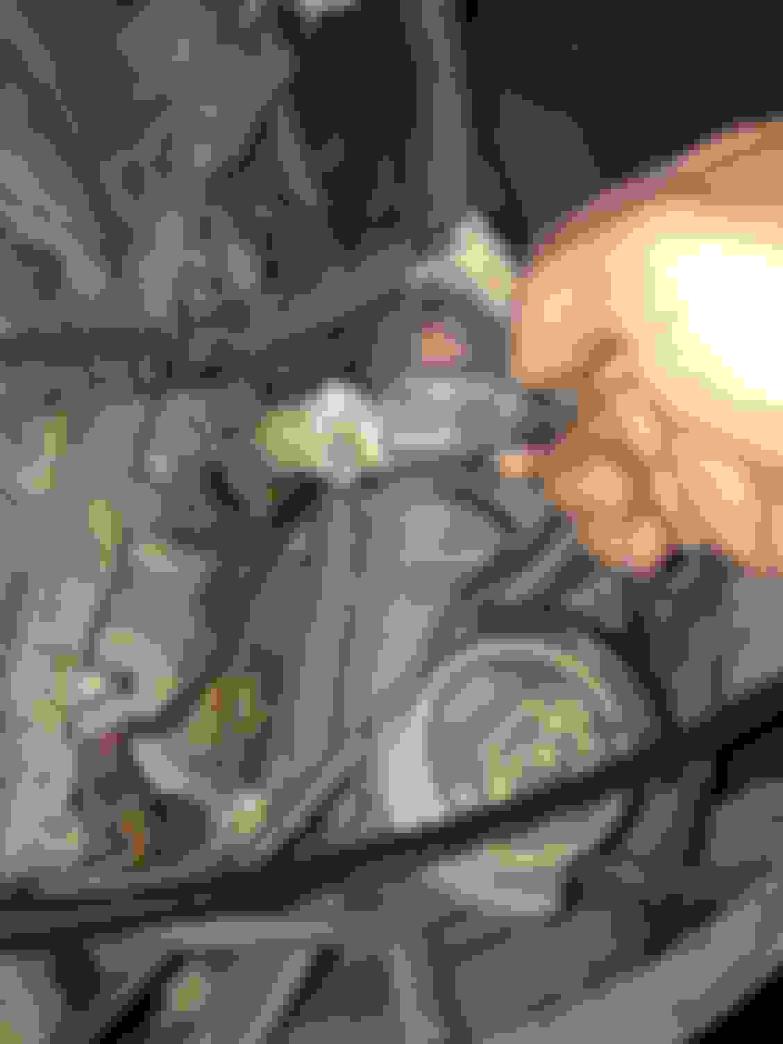 Air Charge temp sensor Ford Truck Enthusiasts Forums