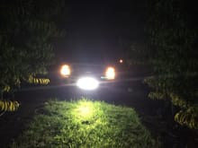 Light bar came in handy putting crates out in the orchard at 4:30 in the morning.