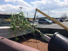 My crane arm is not just for heavy stuff. Helped a friend bring a tree home from Lowes yesterday, found this as a good way to tilt the tree and keep it out of direct wind while supporting it so it didn't have to rest on the toolbox.