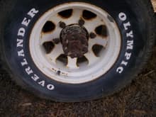 rear axle showing stud/axle cap pattern