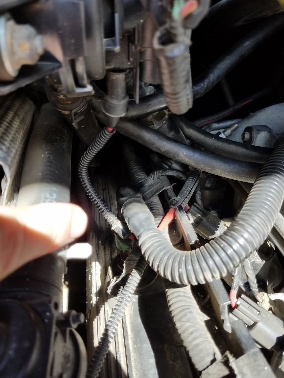 Two-wire "harness" (yellow, black) in engine compartment - Ford Truck
