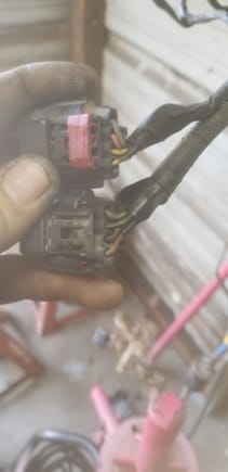 Hold the T.B. plugs so the wires are in the same order as the truck single plug and that is how you need to connect them 