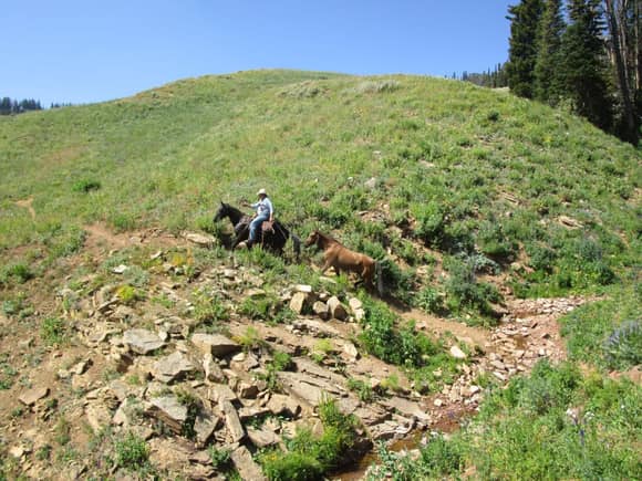 Climbing up to Observation Peak on Indian Creek