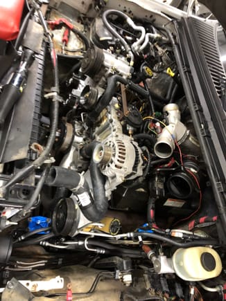 Heater hoses in and trimmed
Wiring grounds vacuum etc connected. Routing batt cables 

Trans cooler lines next
The  under the truck abs, trans linkage, ebrake cable, ground, bolt cab, intercooler pipes, batteries , intake, belt, fan, shroud and fill cooling 