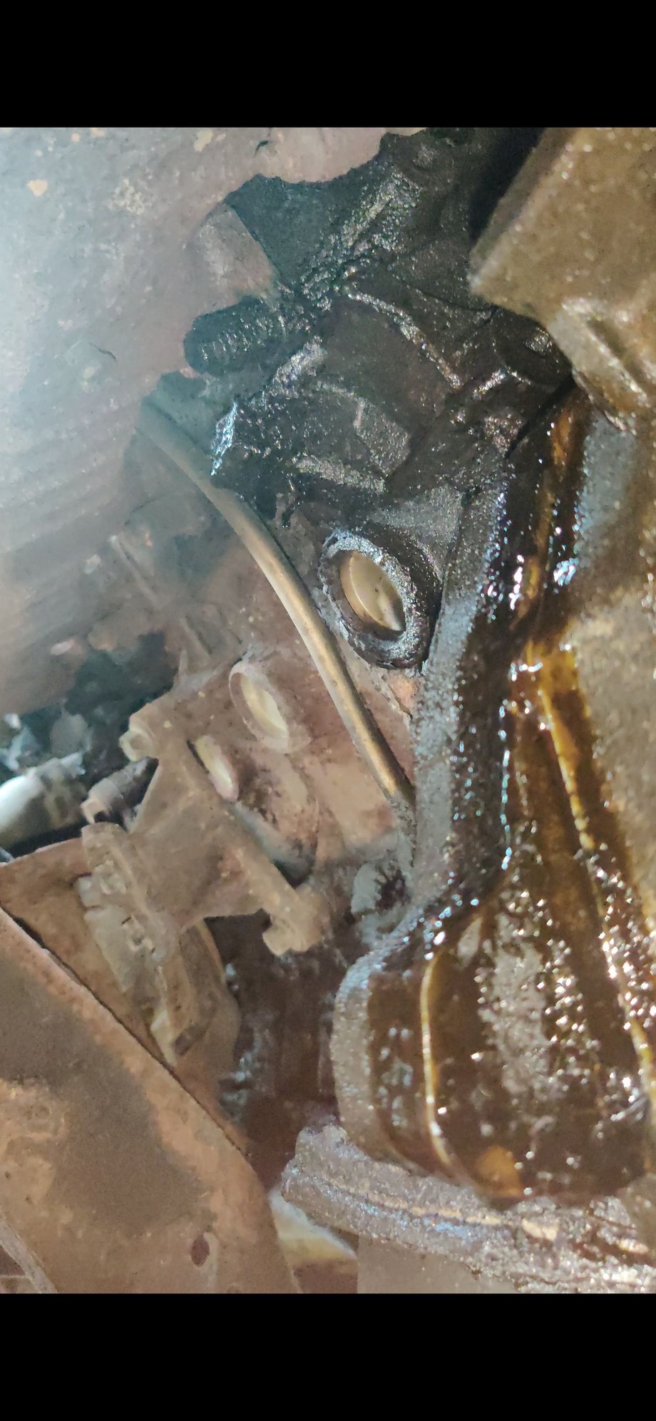 2003 6 0 Powerstroke Oil Leak Ford Truck Enthusiasts Forums 2003 6 0 Powerstroke Oil Leak Ford Truck Enthusiasts Forums