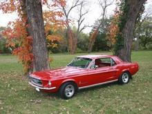 "Fall Candy Apple"