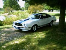 1978 Mustang Cobra 2