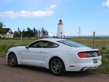 IMG 3742 web