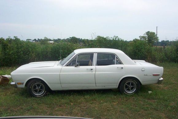 falcon