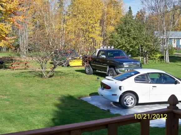 SNOW AND MOOSE 014
