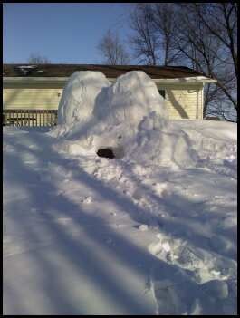 1 igloo one 2
