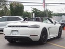 New Porsche 911 Tubos Cabriolet