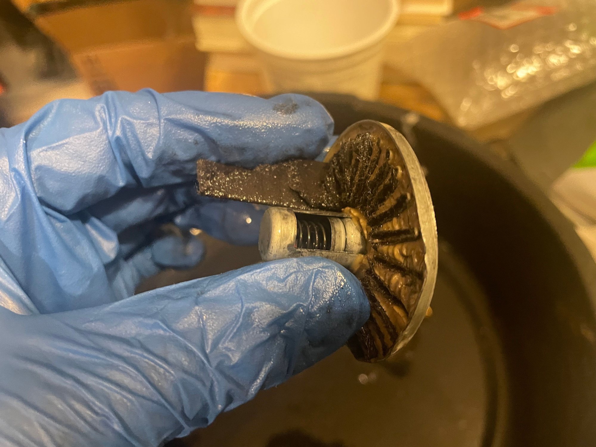 HCH-II CVT Filter cut open