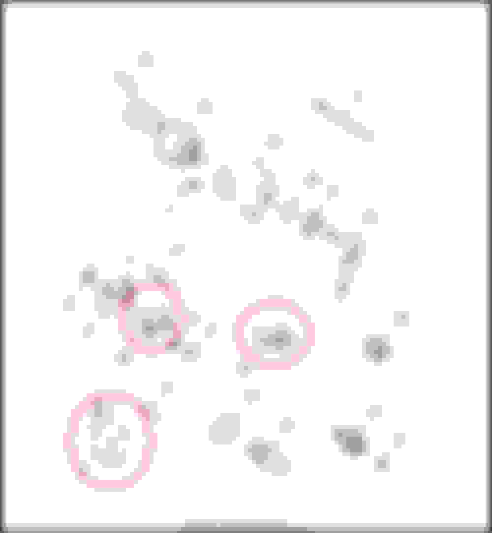 fuse box sportster Page 2 Harley Davidson Forums