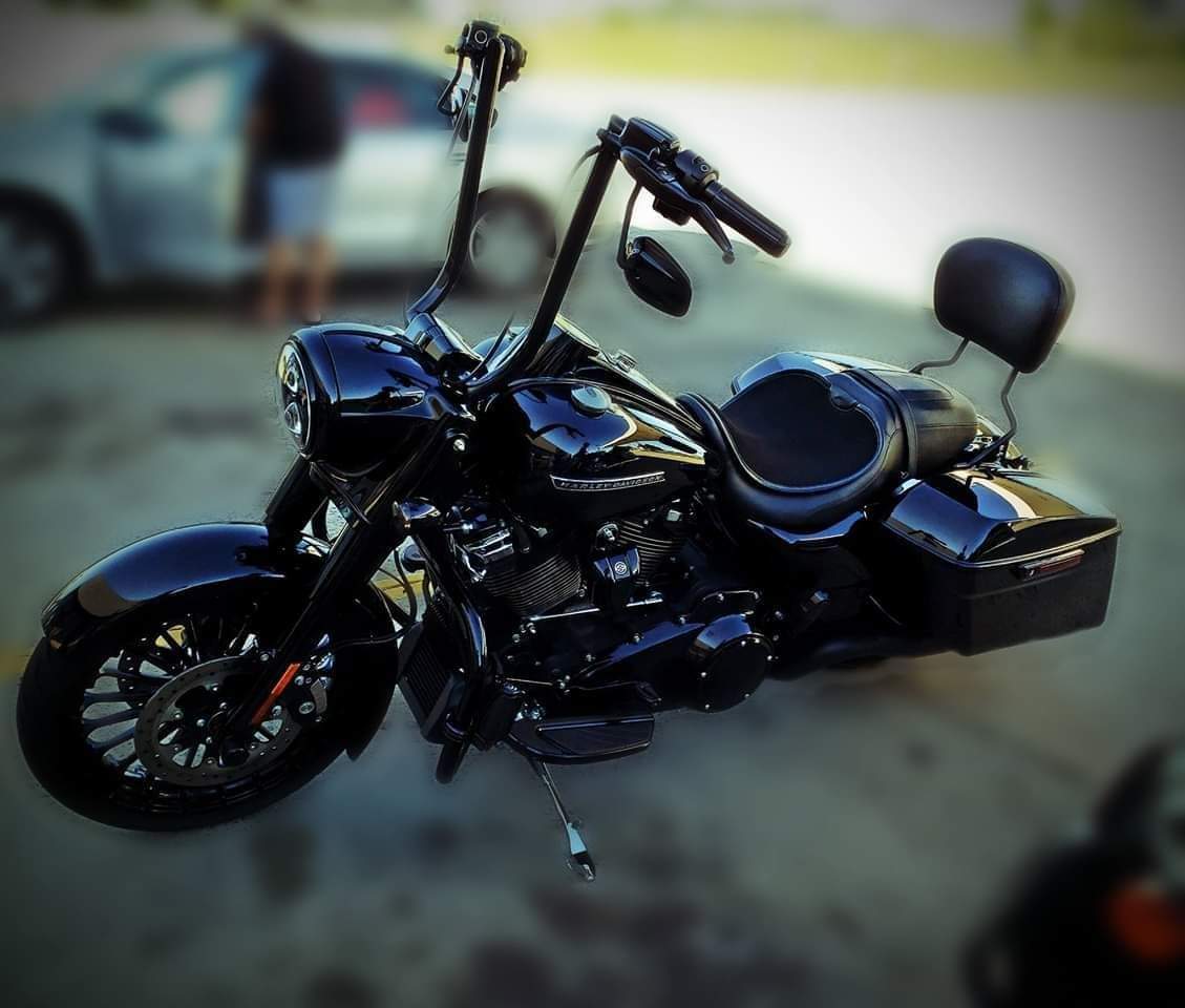 Panty Droppers Page 4 Harley Davidson Forums