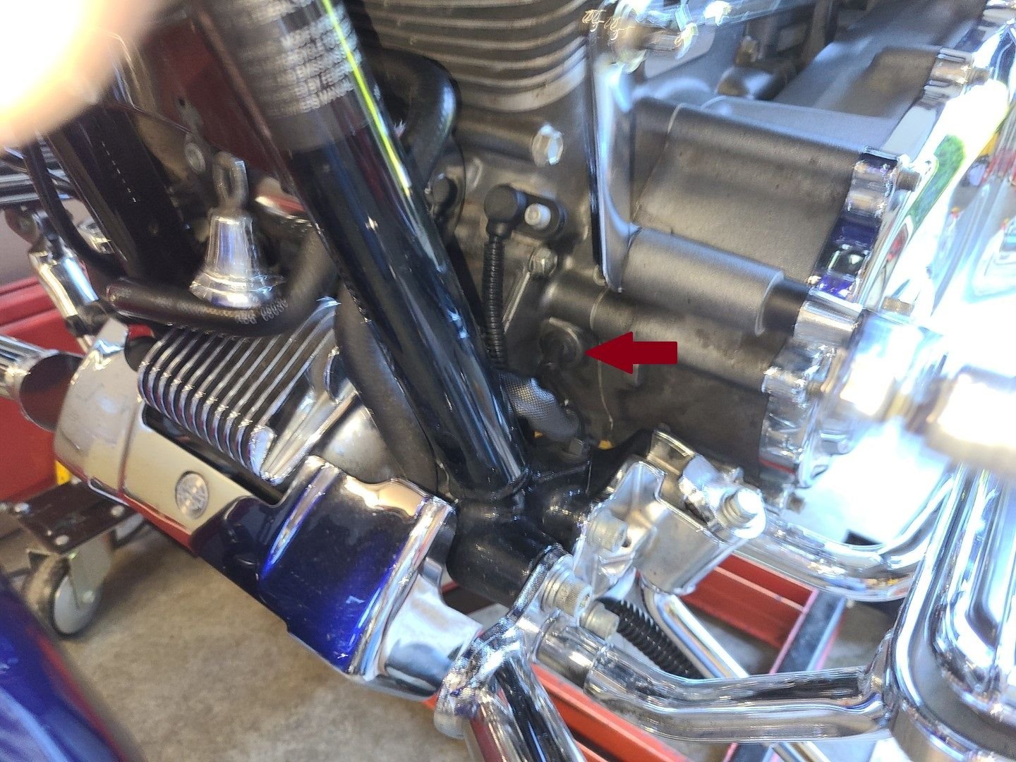 Need some help with oil leak Harley Davidson Forums