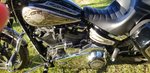 Sportglide