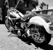 78 FXE Hand Shifter