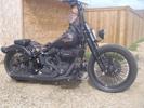 08 Crossbones