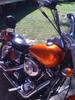 my bikes