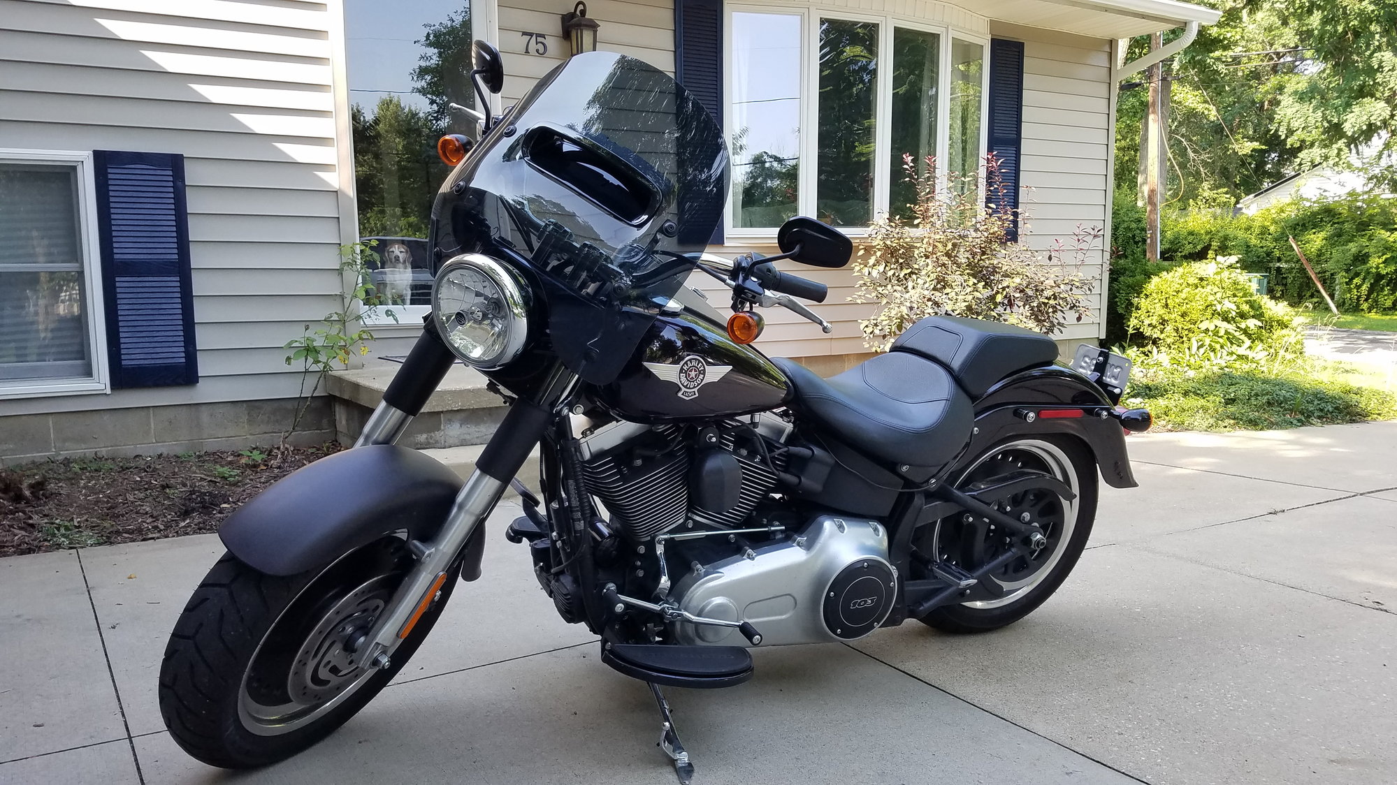 fat boy windshield