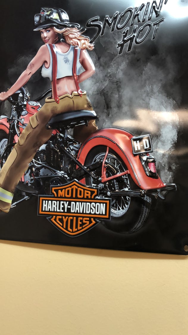 Show Yourself !!!! - Page 13 - Harley Davidson Forums