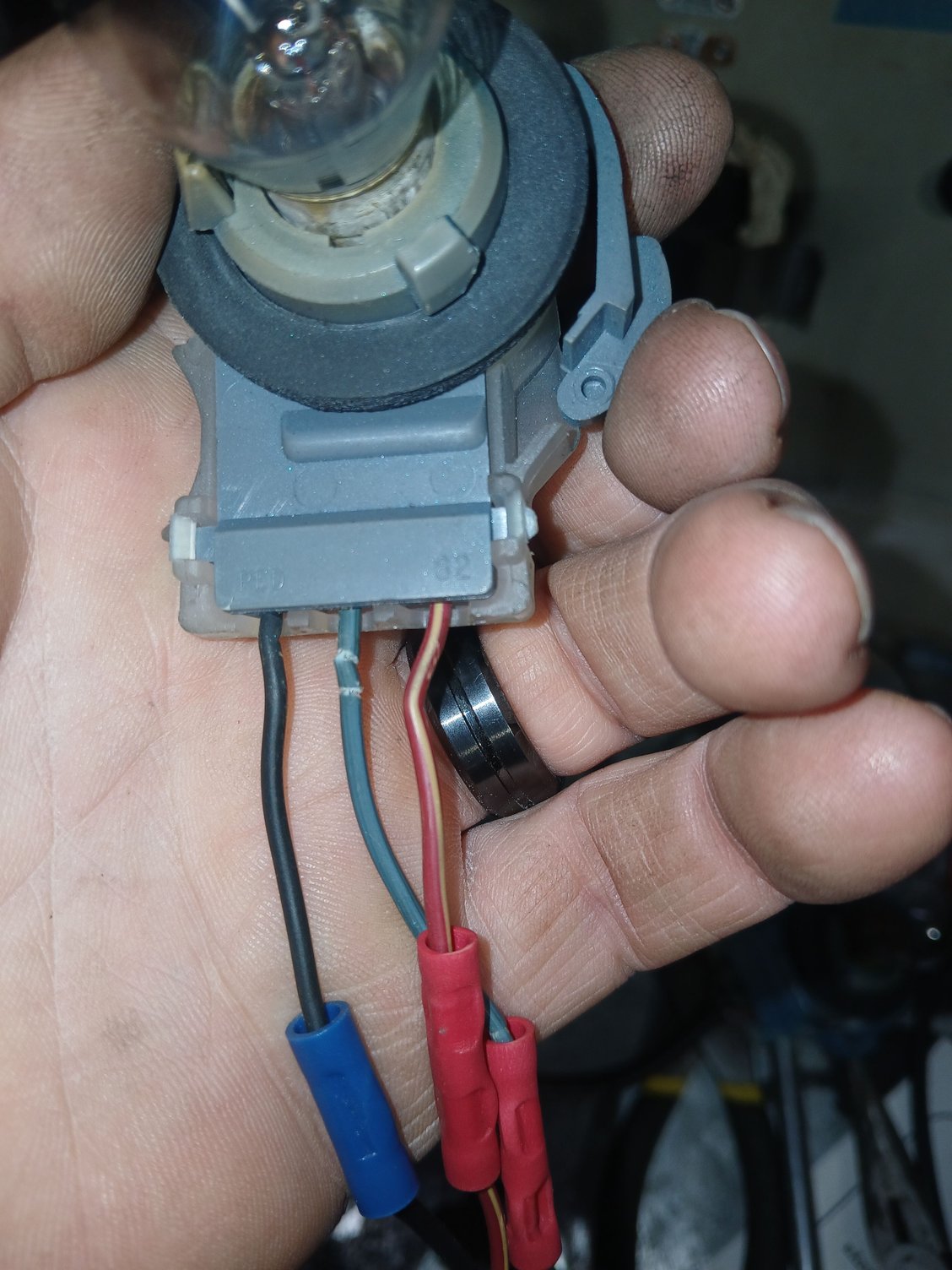 Same color wiring in the left bulb.