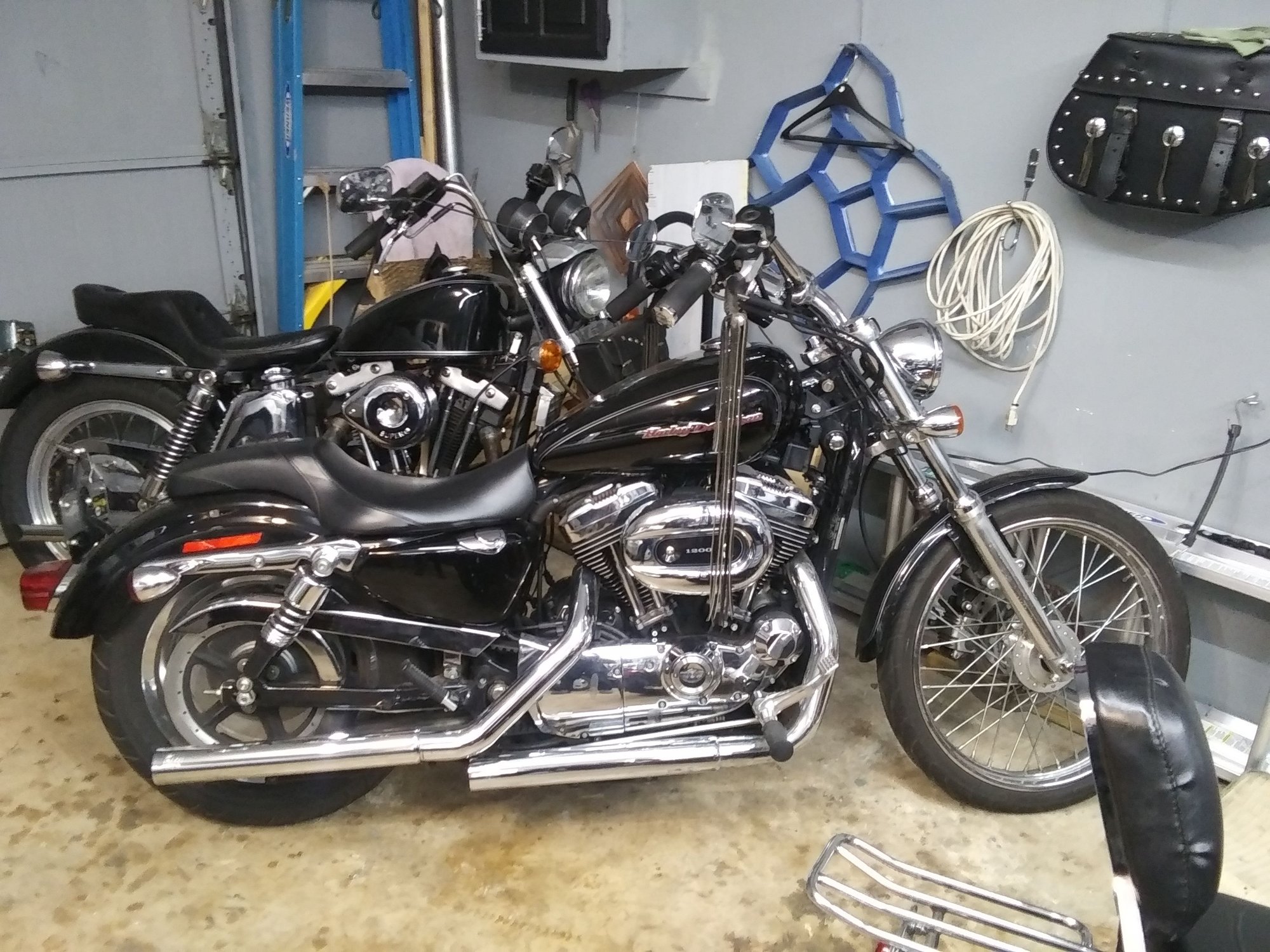 Sportster 883 clutch Harley Davidson Forums