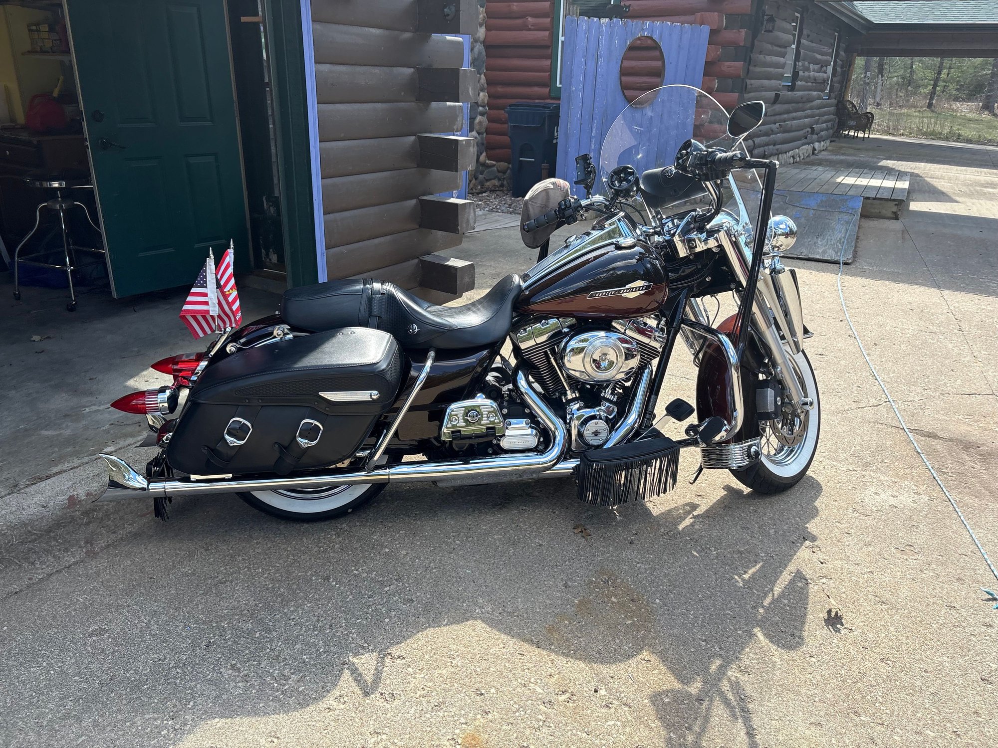 American Horse