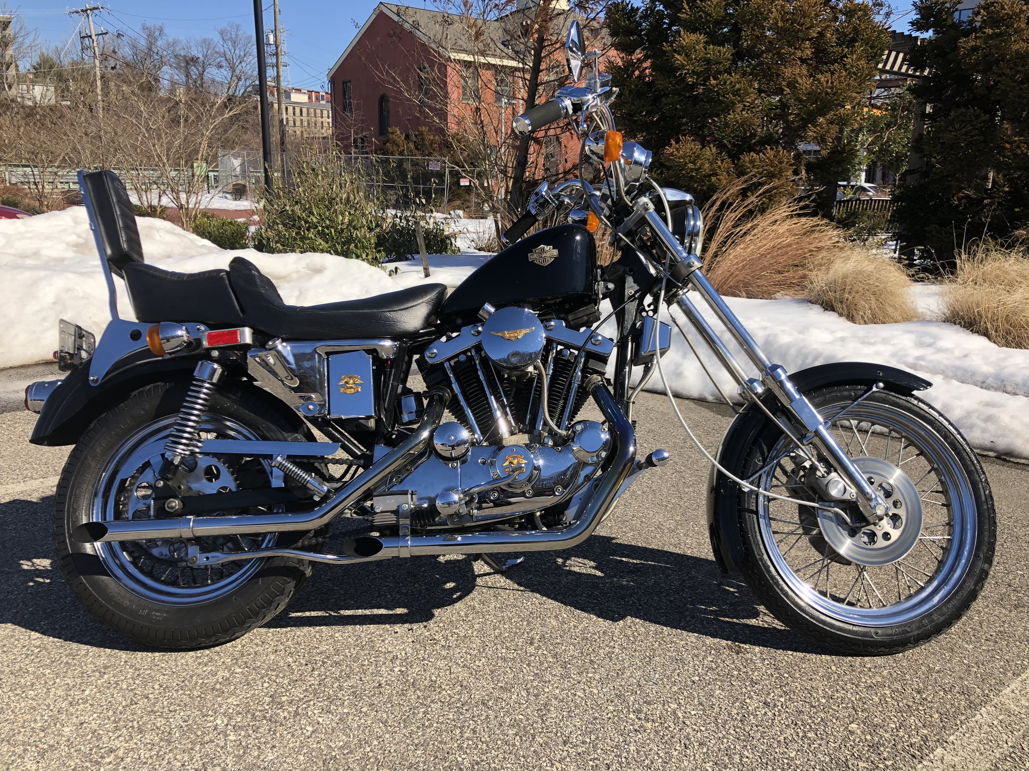 1980 best sale harley roadster