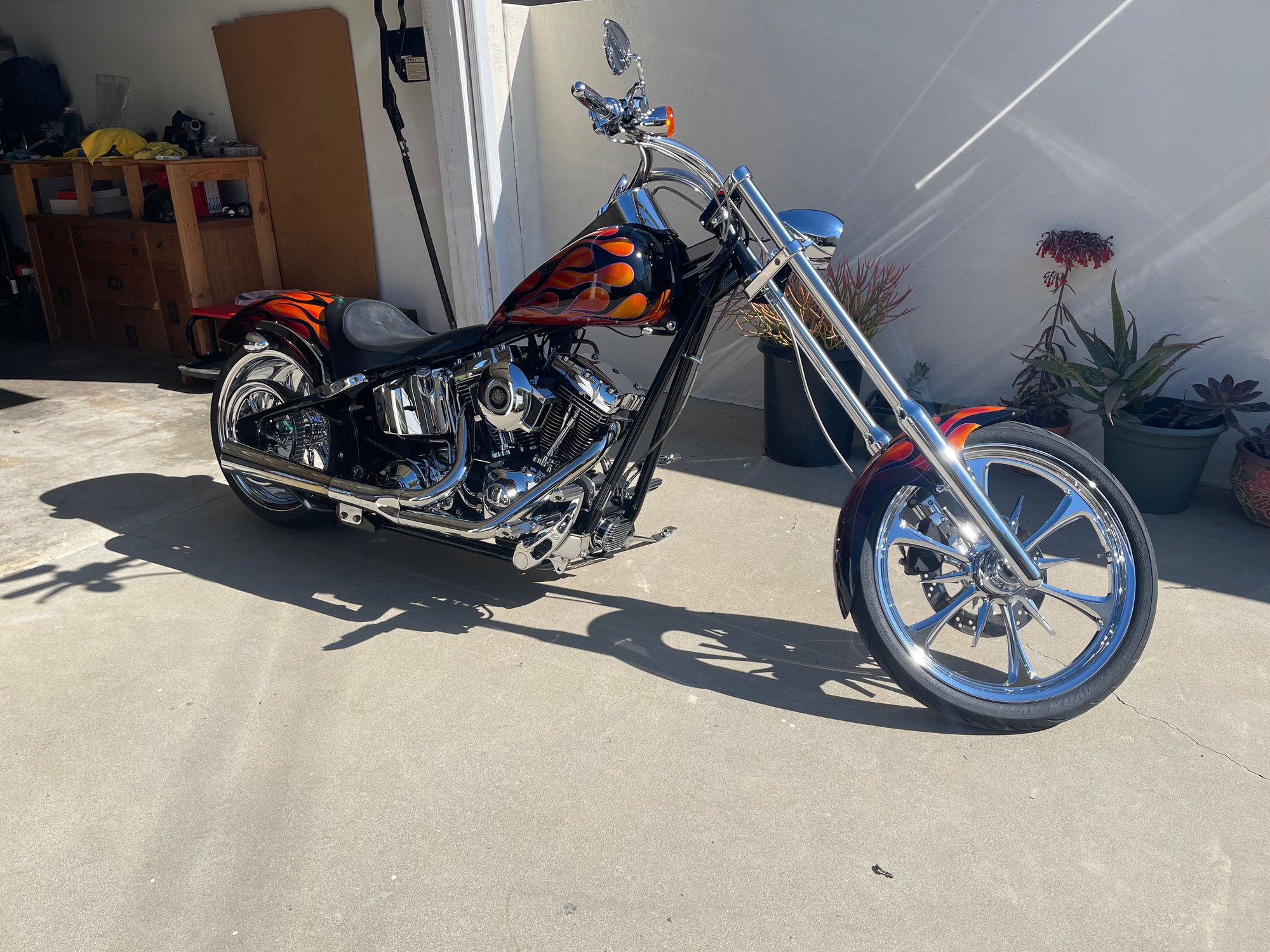 Rosy gets all my attention now.