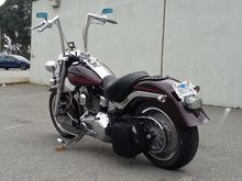 Studded rear fender bib