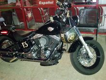Kuryakyn plug and play sissy bar