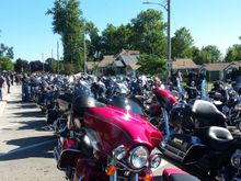 Seacliff Park. 750 bikes lined up for a 3 hour ride along the Lake Erie shore.