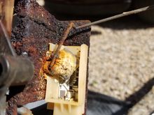 Fuel level float. Covered in more crap.