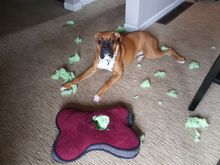 who me, I did't do it