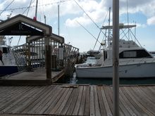 The pier for deep sea fishing and snorkeling tours here.