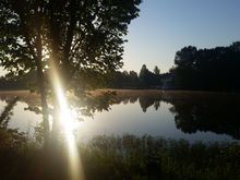 Different pic every morning. 