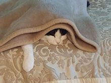 Geez, all you guys talk about is BIKES. Get a Life won't you!