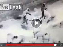 2 Afganis rapiing sheep