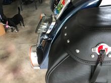 Custom Dynamics low profile integrated light and lay down plate assembly. She wanted to keep the turn signal bar though. I like it better without it but, hey, it is her bike.