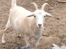 “I’m so excited and I just can’t hide it, I don’t want to know but I think I like it “