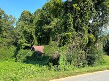 The Valley of the Kudzu Monsters…Old GA Hwy 5 on the way to Ellijay…