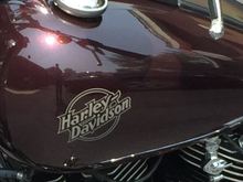 Here is a better look at the color

