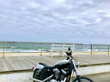 2003 XL1200C Anniversary