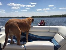 Casey checking that the grand daughter and her friend are ok on the jet ski. This was on one of the Saturdays this week.