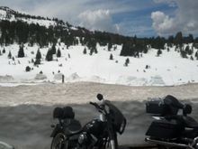 beartooth pass