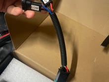 Headlight connector harness.  If you have the high and low beam bulb setup