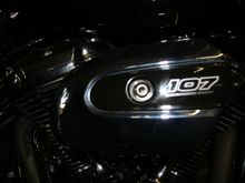 Both the SE and Arlen Ness High Flow Kit retain the OEM filter cover so they look the same.