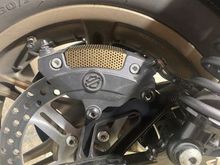 Figured out that the Vrod snap in screen fits all the rear Brembo's. It comes as plain Stainless Steel but I painted it to match my rims. Burnt Bronze. 